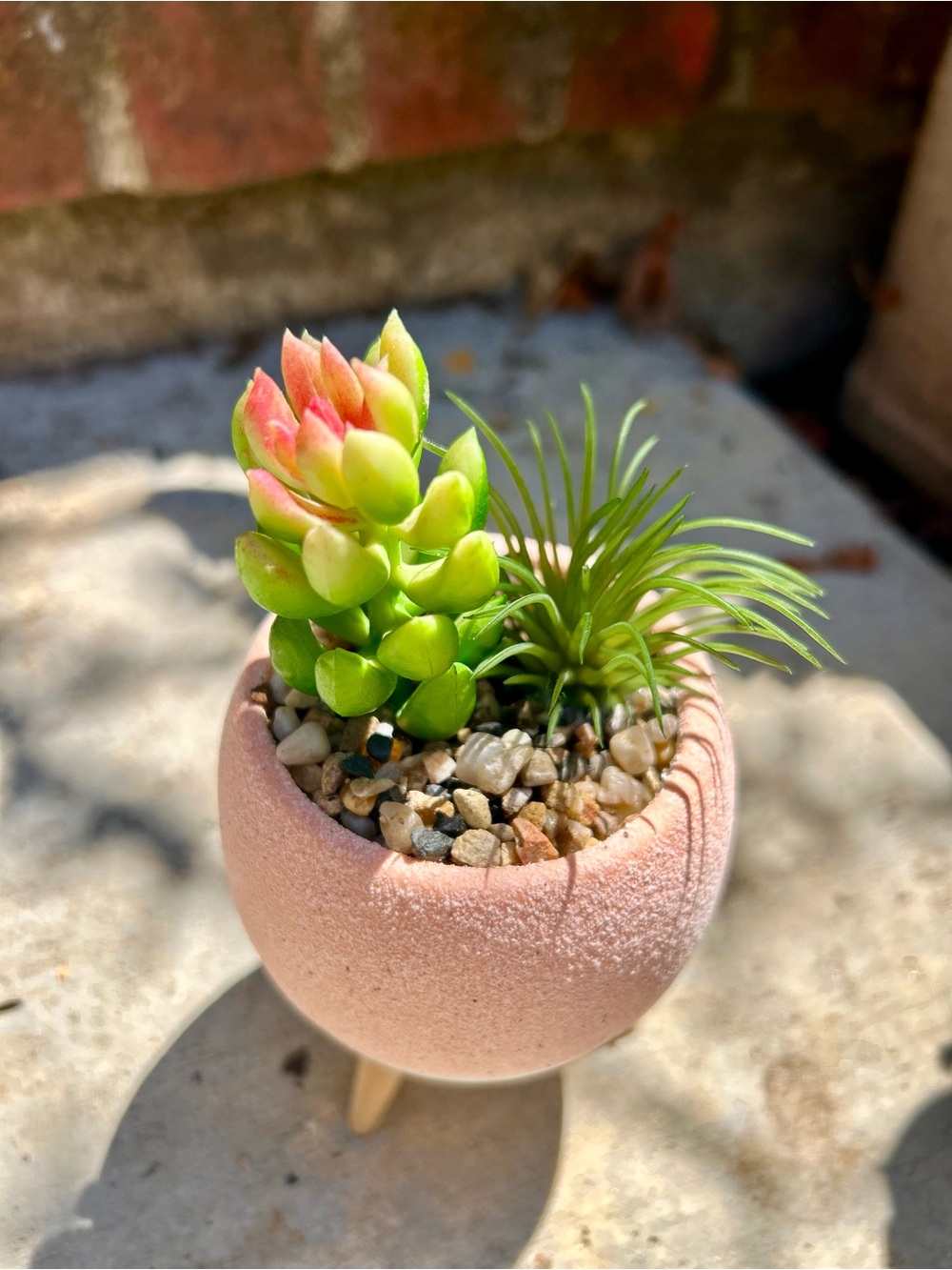 Succulent and air plant in pink pot with wooden legs